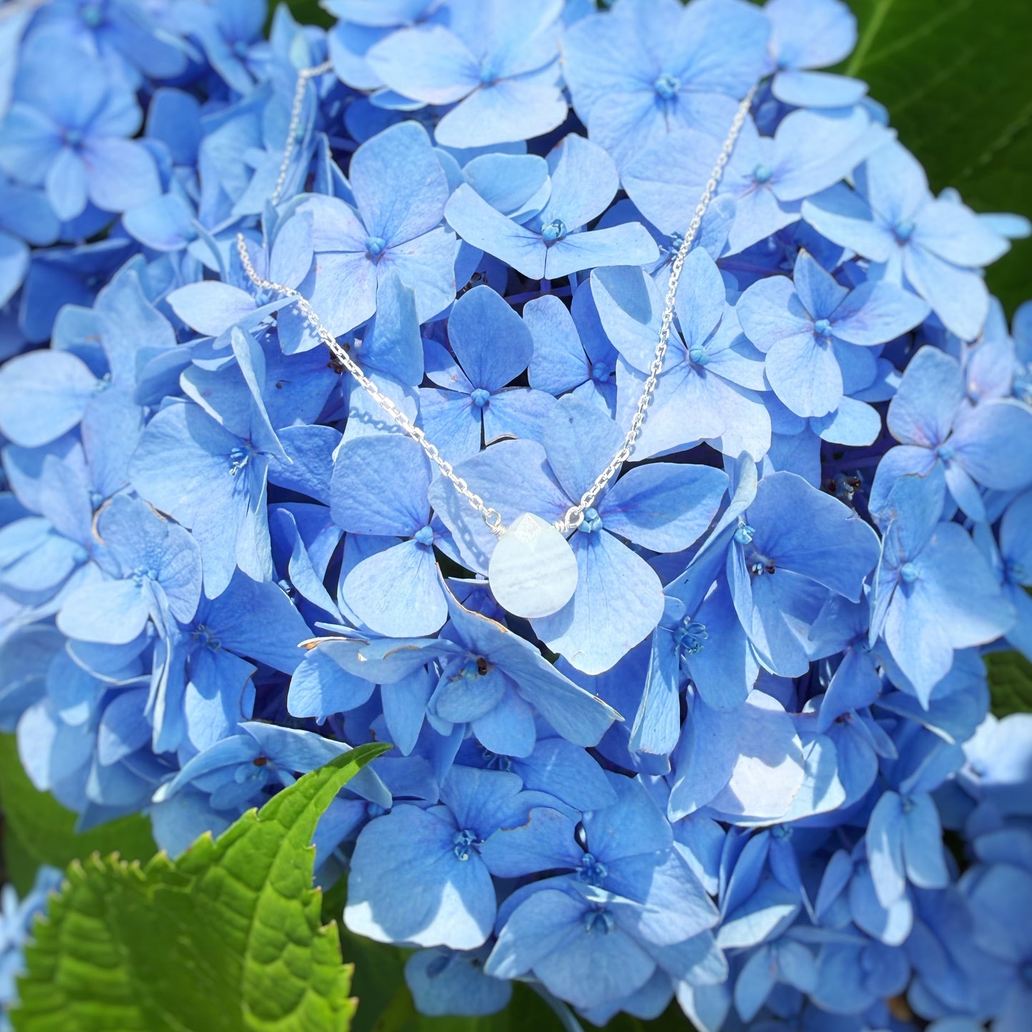 A delicate silver necklace with a round white bead pendant draped over a cluster of light blue hydrangea flowers with green leaves.