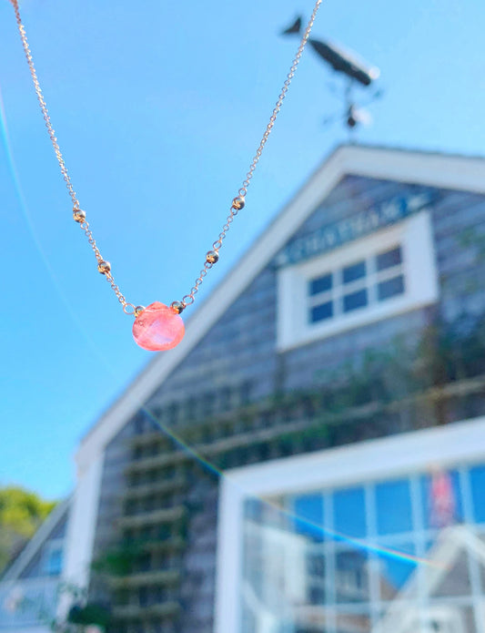 Chatham- Cape Cod Adventures