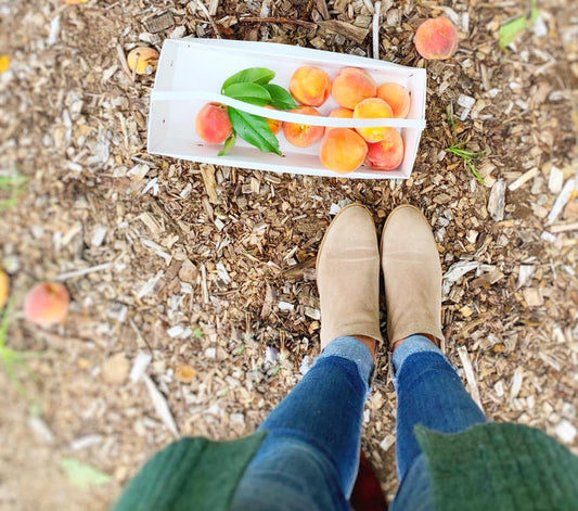 Fall Finds + Must-Haves