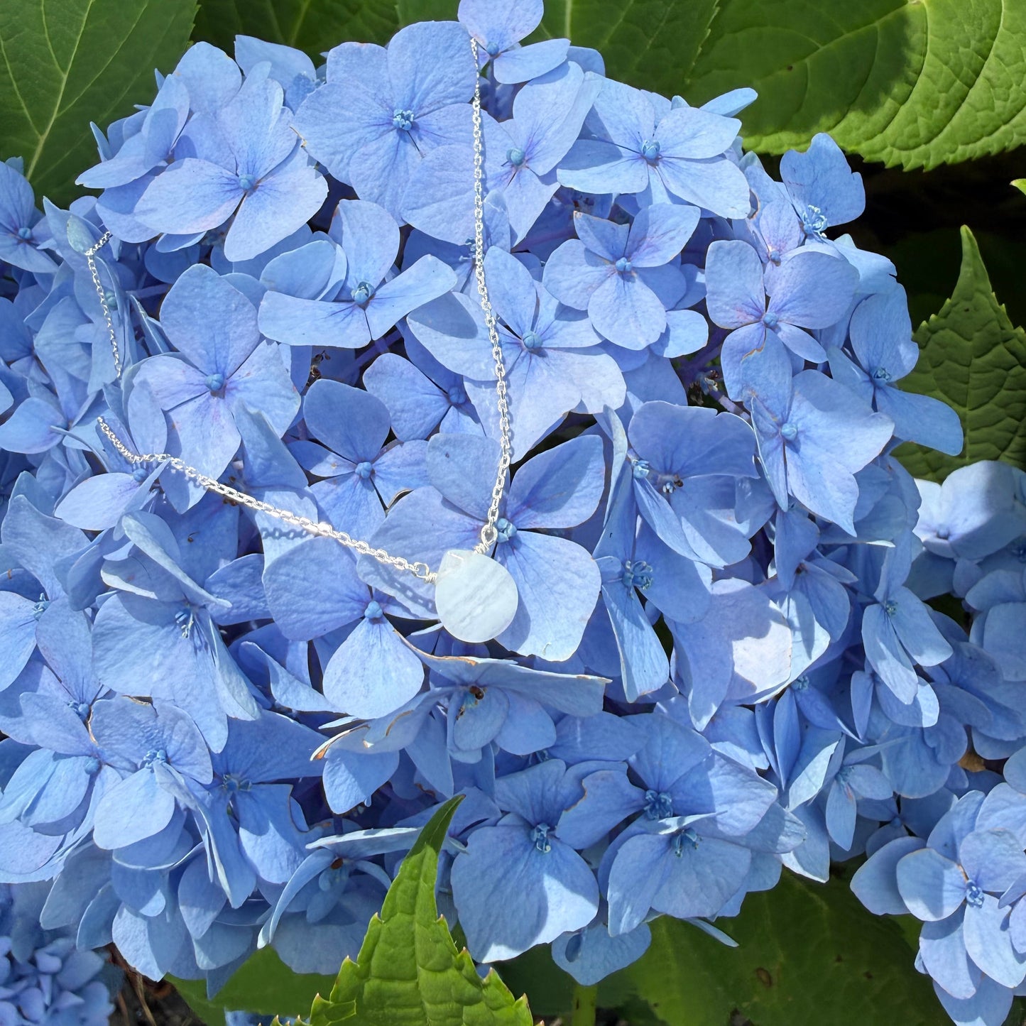 A close-up of a light blue hydrangea flower head surrounded by green leaves, with a delicate silver chain draped across the petals.