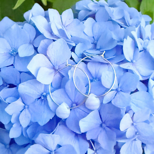 A close-up of a light blue hydrangea flower surrounded by green leaves with sterling silver hoop earrings resting on the flower petals