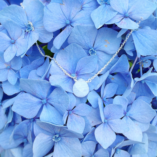 A light blue hydrangea flower cluster with green leaves, featuring a delicate silver necklace with a round white bead pendant draped across the blooms.