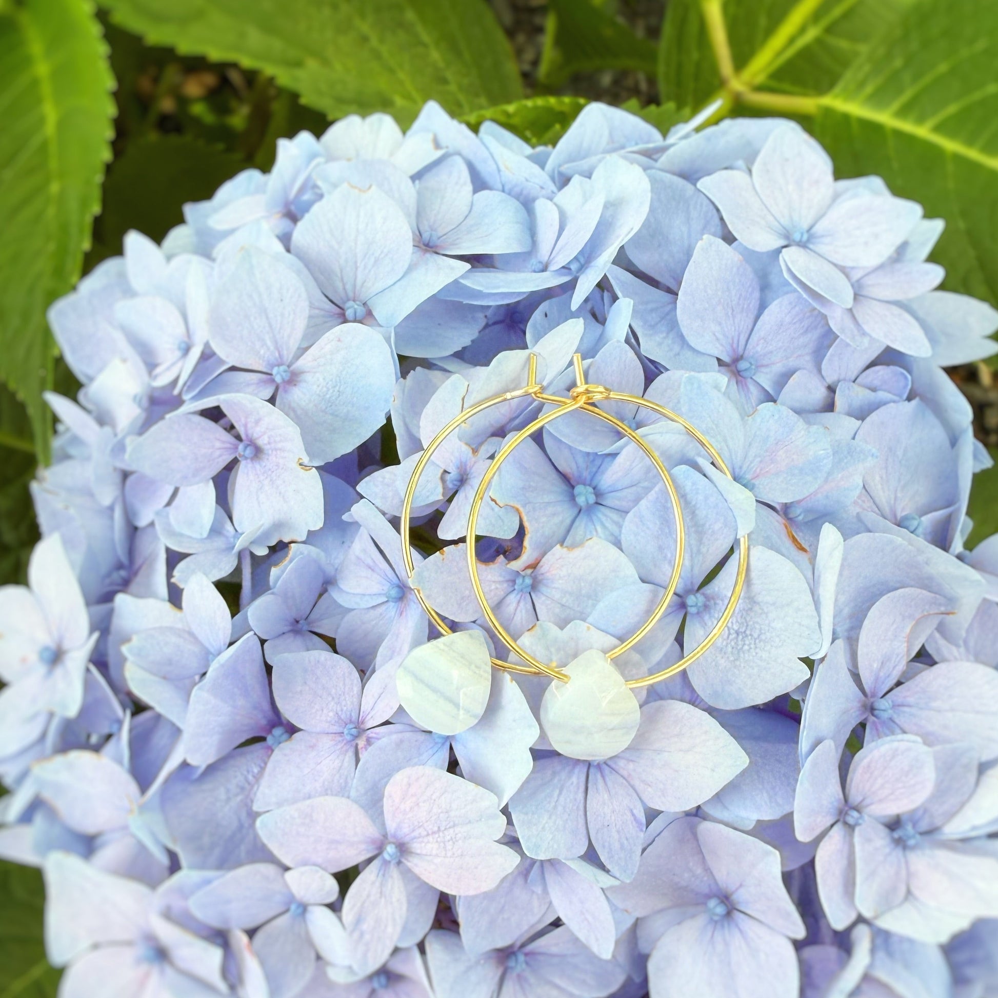 A pair of gold hoop earrings with small pastel purple bead details rests on a light blue hydrangea flower surrounded by green leaves.