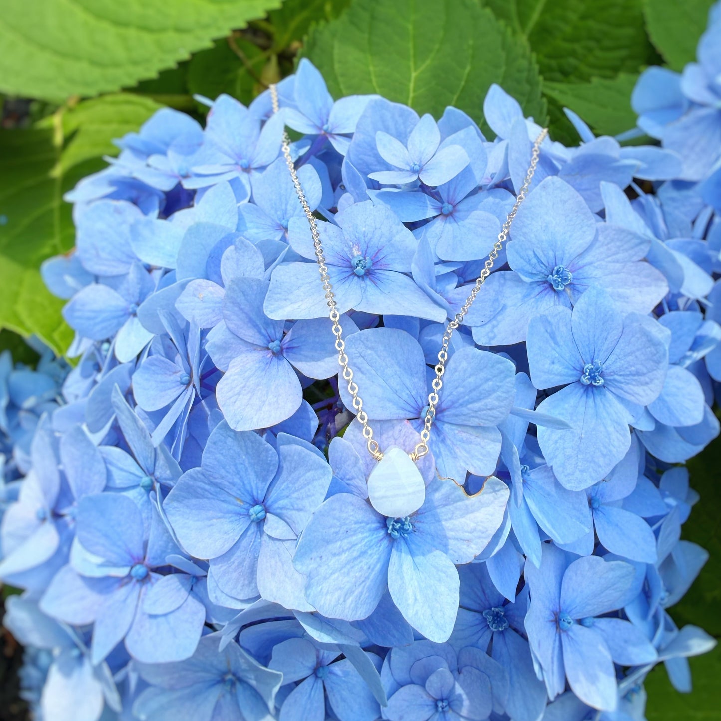 A delicate silver necklace with a light blue teardrop pendant draped over a cluster of light blue hydrangea flowers with green leaves.