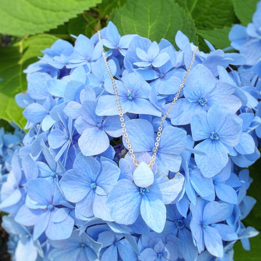 A delicate silver necklace with a light blue teardrop pendant draped over a cluster of light blue hydrangea flowers with green leaves.