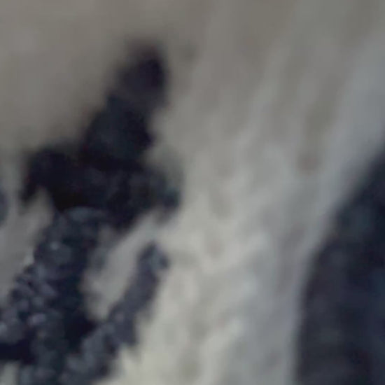 video of a close up of the navy blue text of "east coast shell colllectors club" on cream color sweatshirt that's draped on an aqua color cooler on a beach with the ocean in the background